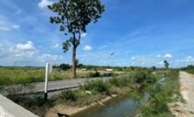 Land for sale near Kasetsart University, Kamphaeng Saen District, Nakhon Pathom