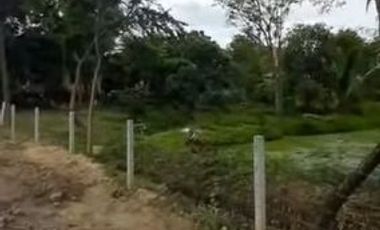 Land for sale near Kasetsart University, Kamphaeng Saen District, Nakhon Pathom