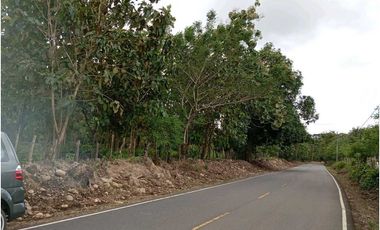 VENDO LOTE 11 HECTAREAS EN BAGALA CHIRIQUI