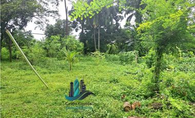 VENDO CASA VIA SOLANO CHIRIQUI