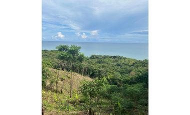 Se vende terreno en colon