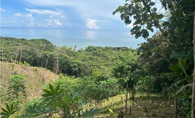 Se vende terreno en colon