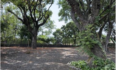 Casa en renta en Vista Hermosa, Cuernavaca, Morelos