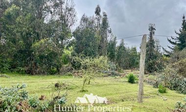 Parcela en Venta en Ruta 5 Sur lado poniente altura Km 229