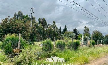 Parcela en Venta en Ruta 5 Sur lado poniente altura Km 229