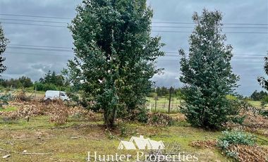 Parcela en Venta en Ruta 5 Sur lado poniente altura Km 229