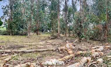 Parcela en Venta en Ruta 5 Sur lado poniente altura Km 229