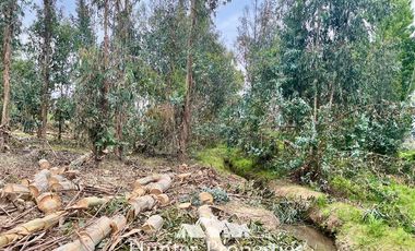 Parcela en Venta en Ruta 5 Sur lado poniente altura Km 229