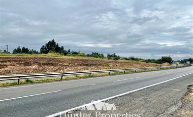 Parcela en Venta en Ruta 5 Sur lado poniente altura Km 229