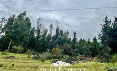 Parcela en Venta en Ruta 5 Sur lado poniente altura Km 229