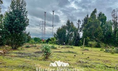 Parcela en Venta en Ruta 5 Sur lado poniente altura Km 229