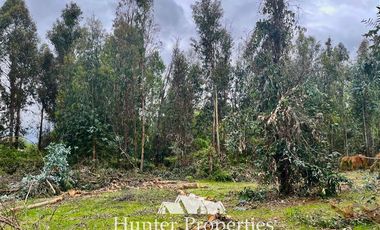 Parcela en Venta en Ruta 5 Sur lado poniente altura Km 229