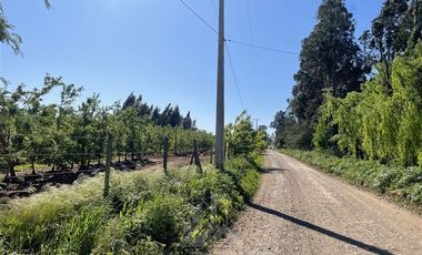 Parcela en Venta en Loteo Granja María, sector purisima