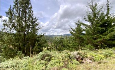 Lote Parcelacion El Retiro Imponente Vista