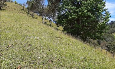 Venta Lote en el alto de las Palmas