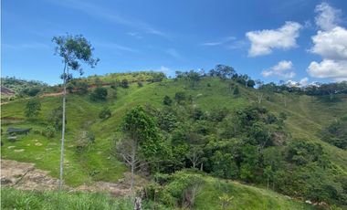 Vendo lote San Luis Antioquia, Vereda las palmas 1 hectárea +0.052