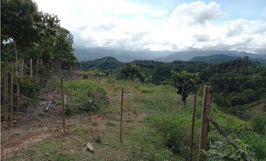 Vendo lote San Luis Antioquia, Vereda las palmas 1 hectárea +0.052