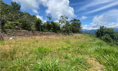 Vendo lote San Luis Antioquia, Vereda las palmas 1 hectárea +0.052