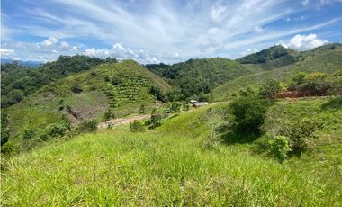 Vendo lote San Luis Antioquia, Vereda las palmas 1 hectárea +0.052