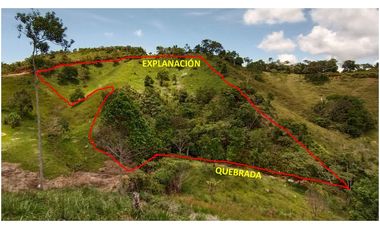 Vendo lote San Luis Antioquia, Vereda las palmas 1 hectárea +0.052