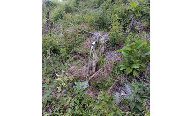 Vendo lote San Luis Antioquia, Vereda las palmas 1 hectárea +0.052