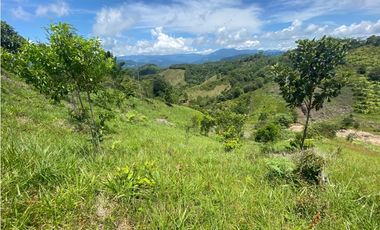 Vendo lote San Luis Antioquia, Vereda las palmas 1 hectárea +0.052