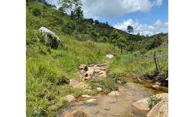 Vendo lote San Luis Antioquia, Vereda las palmas 1 hectárea +0.052