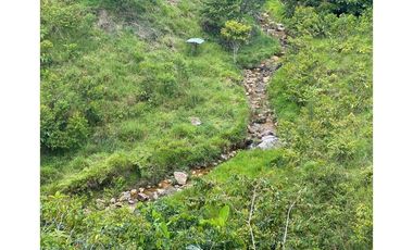 Vendo lote San Luis Antioquia, Vereda las palmas 1 hectárea +0.052