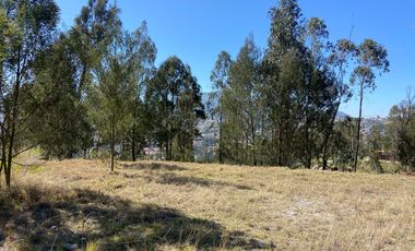 HERMOSO TERRENO EN VENTA, SECTOR CHALLUABAMBA