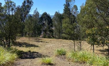 HERMOSO TERRENO EN VENTA, SECTOR CHALLUABAMBA