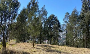 HERMOSO TERRENO EN VENTA, SECTOR CHALLUABAMBA