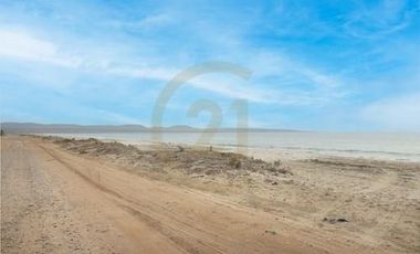 Venta de terreno Tongoy Coquimbo