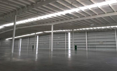 NAVE EN RENTA  EN PARQUE INDUSTRIAL EN CELAYA, GUANAJUATO