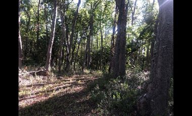 Parcela en Venta en SANTA AIDA HIJ− 8 LT− 44 TREGUALEMU