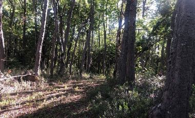 Parcela en Venta en SANTA AIDA HIJ− 8 LT− 44 TREGUALEMU