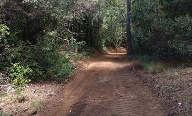 Parcela en Venta en SANTA AIDA HIJ− 8 LT− 44 TREGUALEMU