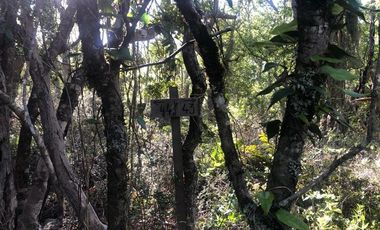 Parcela en Venta en SANTA AIDA HIJ− 8 LT− 44 TREGUALEMU