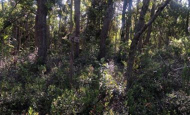 Parcela en Venta en SANTA AIDA HIJ− 8 LT− 44 TREGUALEMU