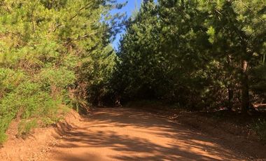 Parcela en Venta en SANTA AIDA HIJ− 8 LT− 44 TREGUALEMU