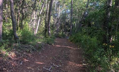 Parcela en Venta en SANTA AIDA HIJ− 8 LT− 44 TREGUALEMU