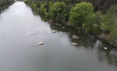 Sitio en Venta en Ubicado a 54 Km de Concepcion, a 6 km de Quillon y a 2,5 Km de Chillancito a través de camino asfaltado