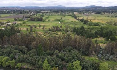 Sitio en Venta en Ubicado a 54 Km de Concepcion, a 6 km de Quillon y a 2,5 Km de Chillancito a través de camino asfaltado