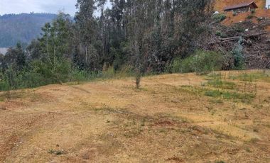 Sitio en Venta en Ruta de la madera Km 17 aprox
