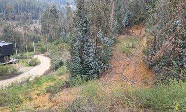 Sitio en Venta en Ruta de la madera Km 17 aprox