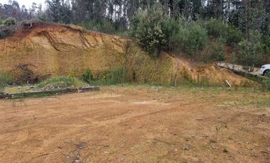 Sitio en Venta en Ruta de la madera Km 17 aprox