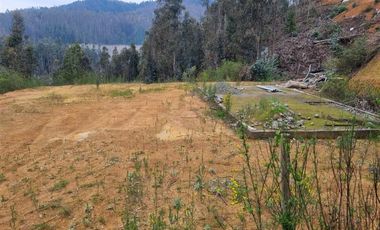 Sitio en Venta en Ruta de la madera Km 17 aprox