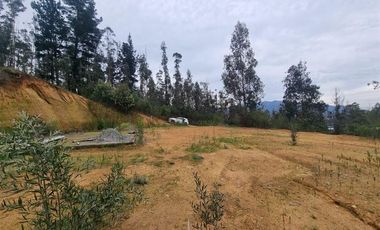 Sitio en Venta en Ruta de la madera Km 17 aprox