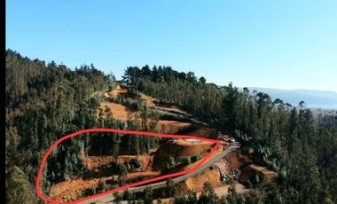 Sitio en Venta en Ruta de la madera Km 17 aprox