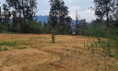 Sitio en Venta en Ruta de la madera Km 17 aprox