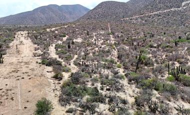 Terreno espacioso en el Sargento de 5,639.9 m² - a solo 349 m del mar - Régimen condominal